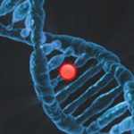 Human genetic mutation is not random, study suggests