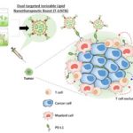 TAU discovers a nanodrug that attacks cancer twice