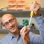 Hebrew U Researcher Pioneers Discovery that Could Help Target Mosquitos