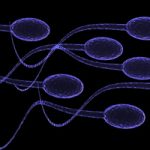 Israeli Scientists Grow Sperm on a Microchip